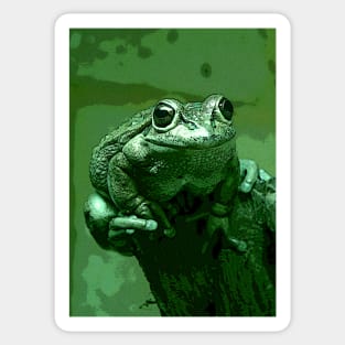 Little Green Frog Sticker